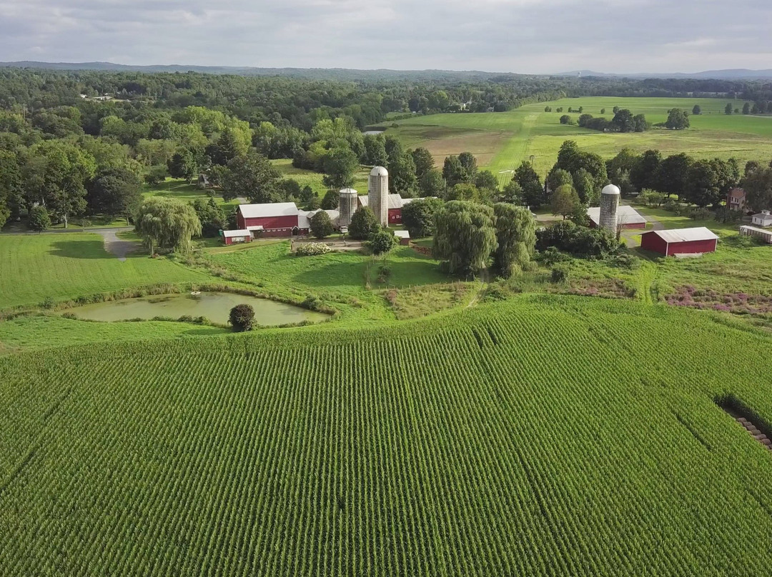 Red Hook旅游景点-The Greig Farm