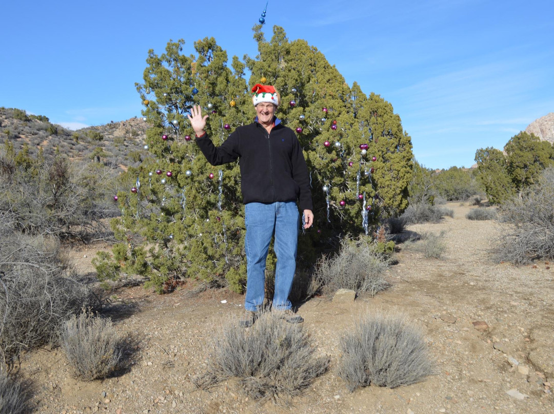 Christmas Tree Pass-拉芙琳必去景点