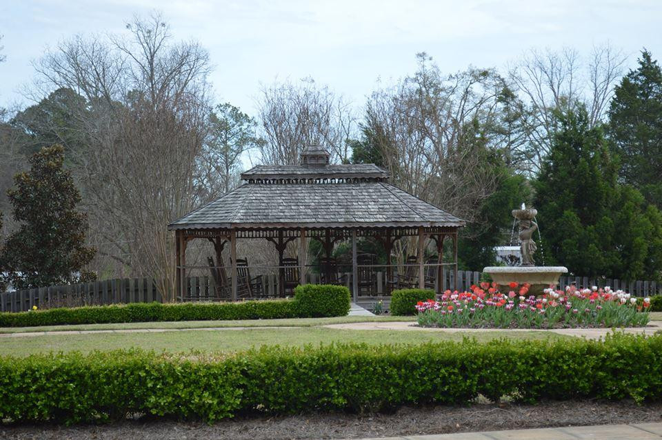 Whimsical Botanical Gardens