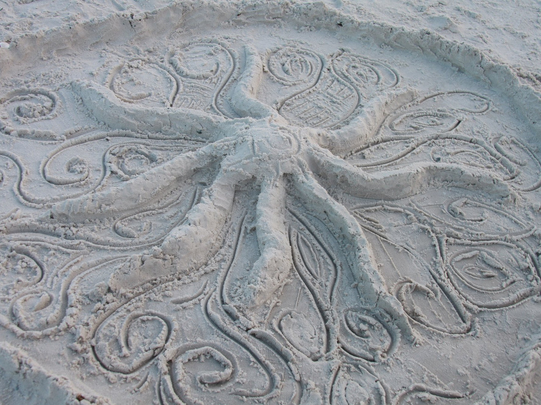 Apollo Beach Nature Preserve