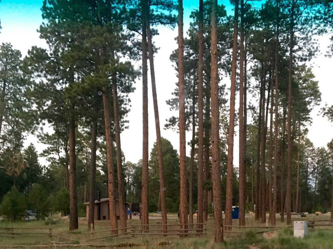 Jacob Lake Inn Gift Shop