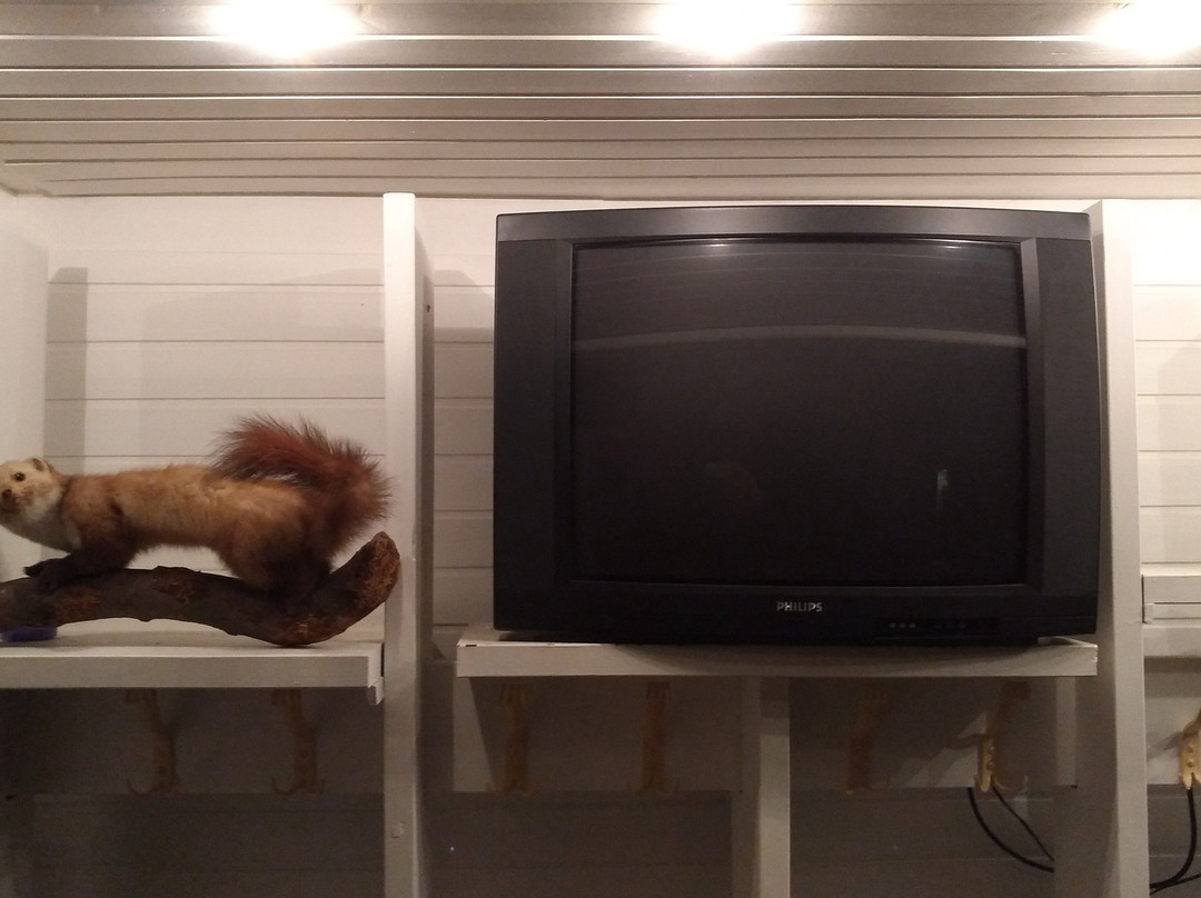 佐维根布克酒店主图