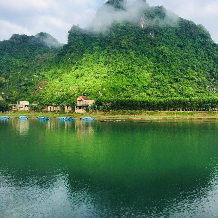 Phong Nha Coco house Homestay主图