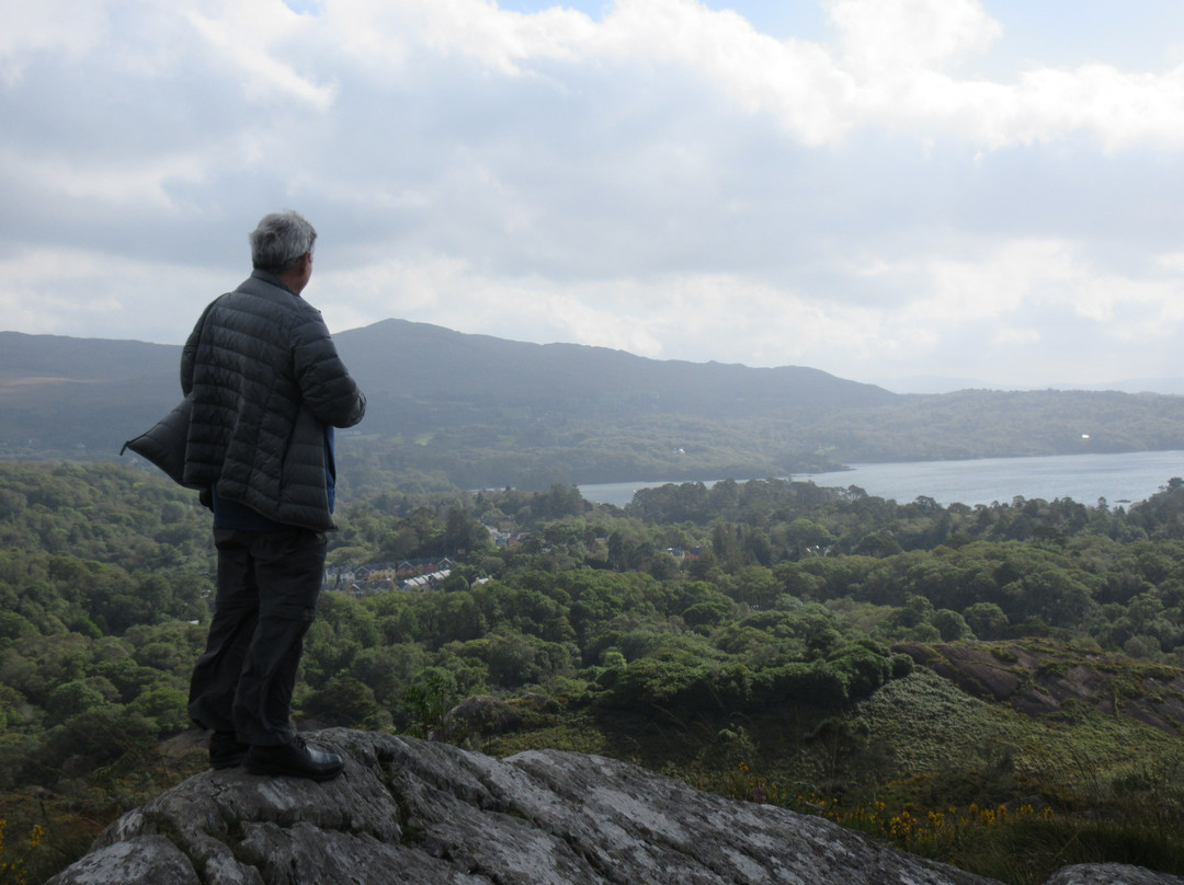 Glengarriff Nature Reserve-Glengarriff必去景点