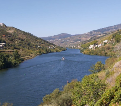 rentDouro