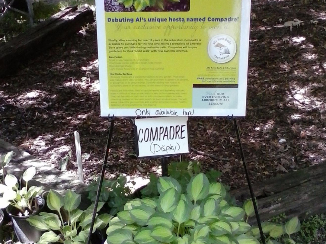 Darien旅游景点-Al's Auto Body and Arboretum