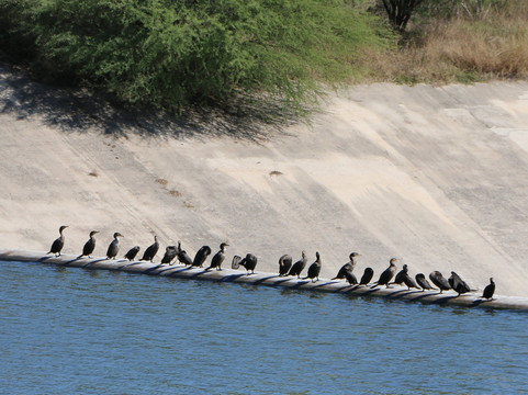 Acequia Park-圣安东尼奥市必去景点