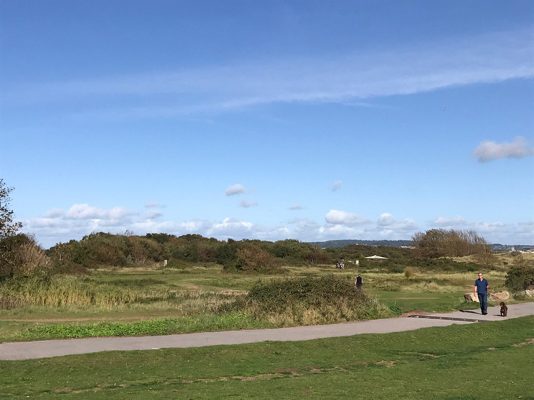 Dawlish Warren Nature Reserve-道利什必去景点