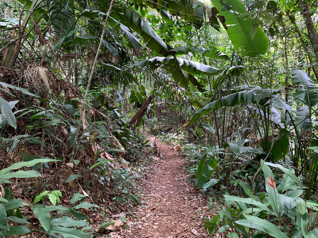 Sentier de la Mirande景点图片