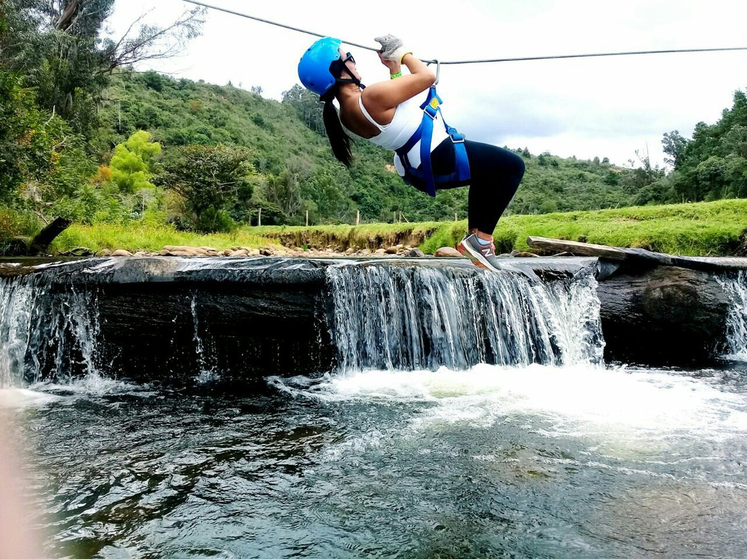 Mayoral Park-莱瓦镇必去景点