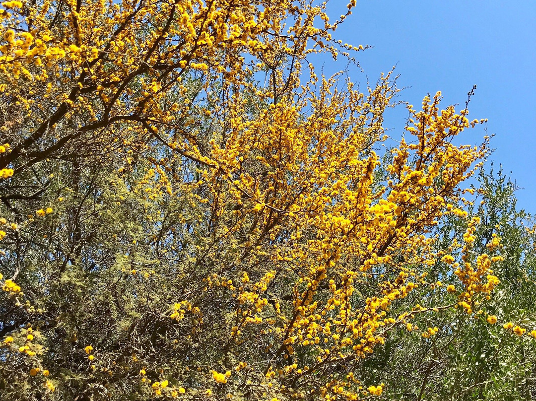 Granja Aromatica Los Aromos-Limache必去景点