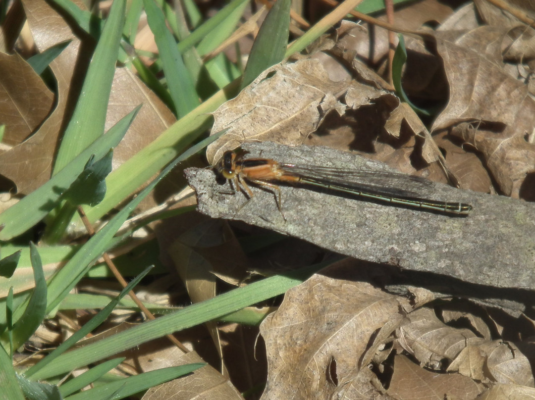 Kenmo Lake-安德堡必去景点