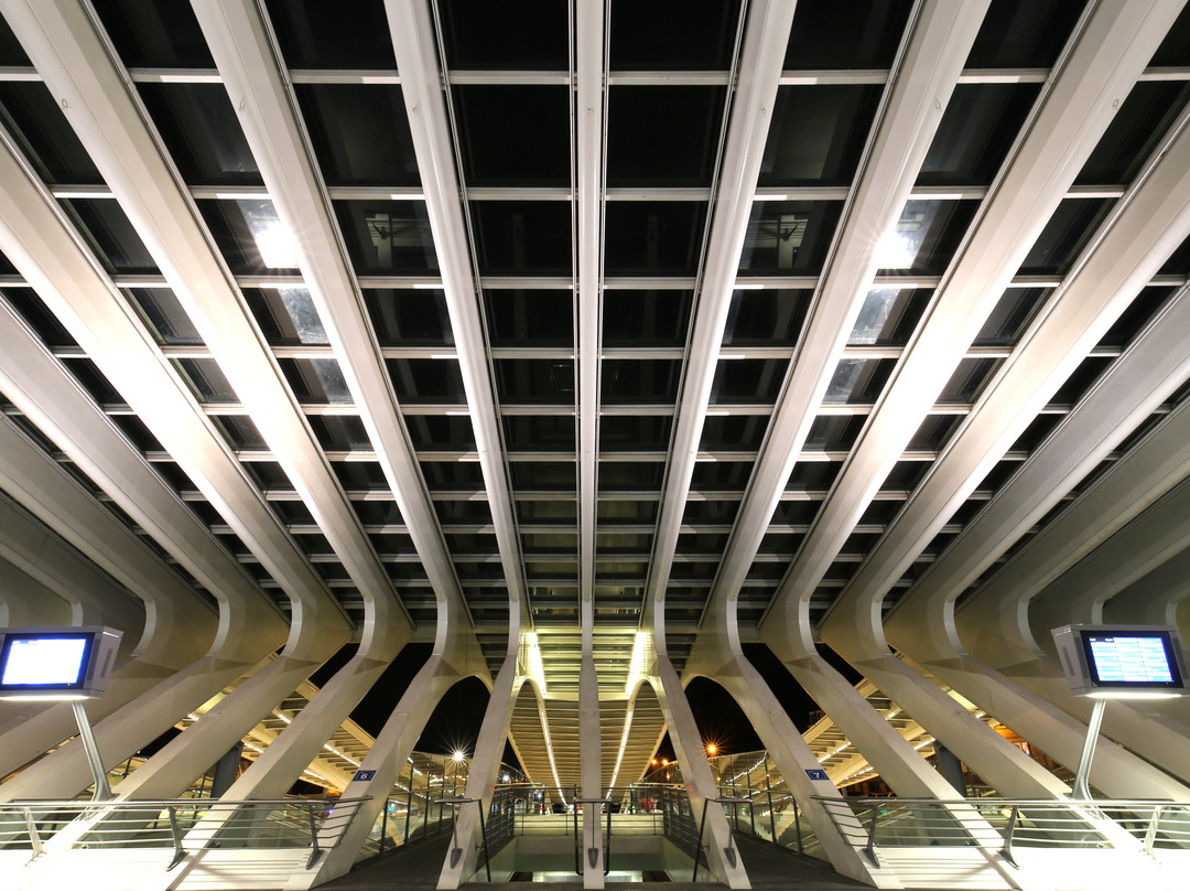 Gare de Liege-Guillemins景点图片