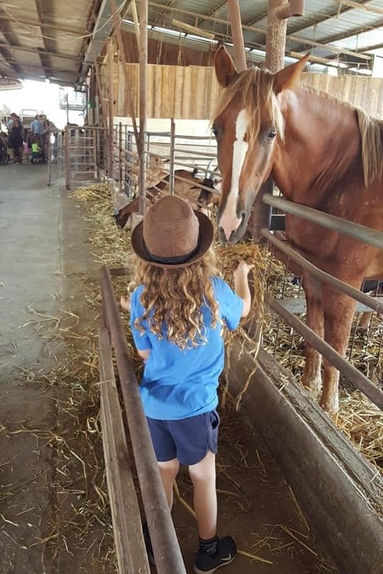 Shmueli Farm-Be'er Tuvia必去景点