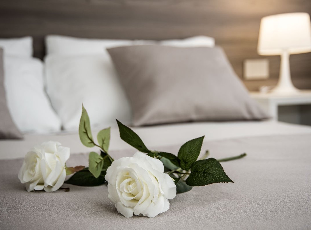 Camelot Appartamenti - Business & Holiday