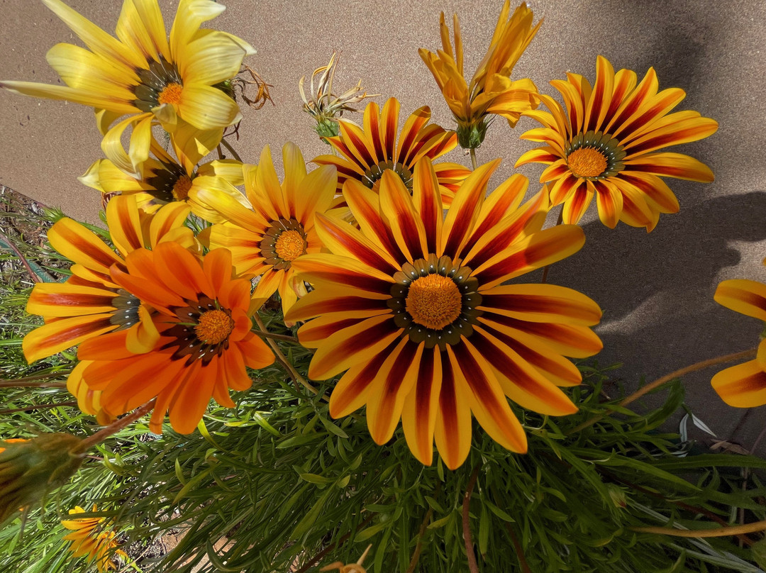 Kerang Presbyterian Church