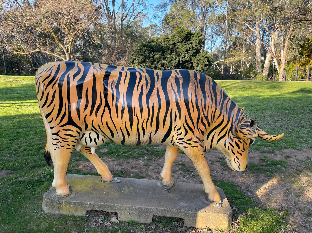 Murchison Public Gardens