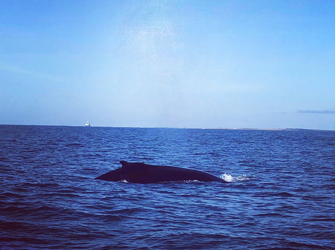 Husavik Adventures-胡萨维克必去景点