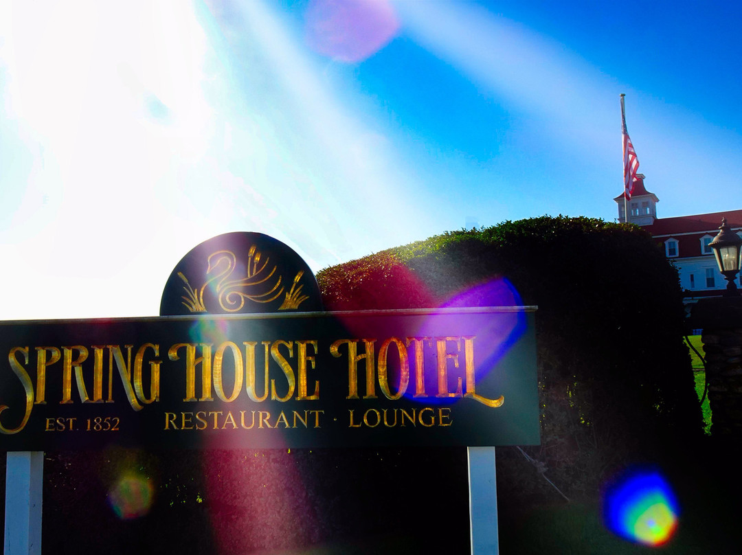 Spring House Hotel主图