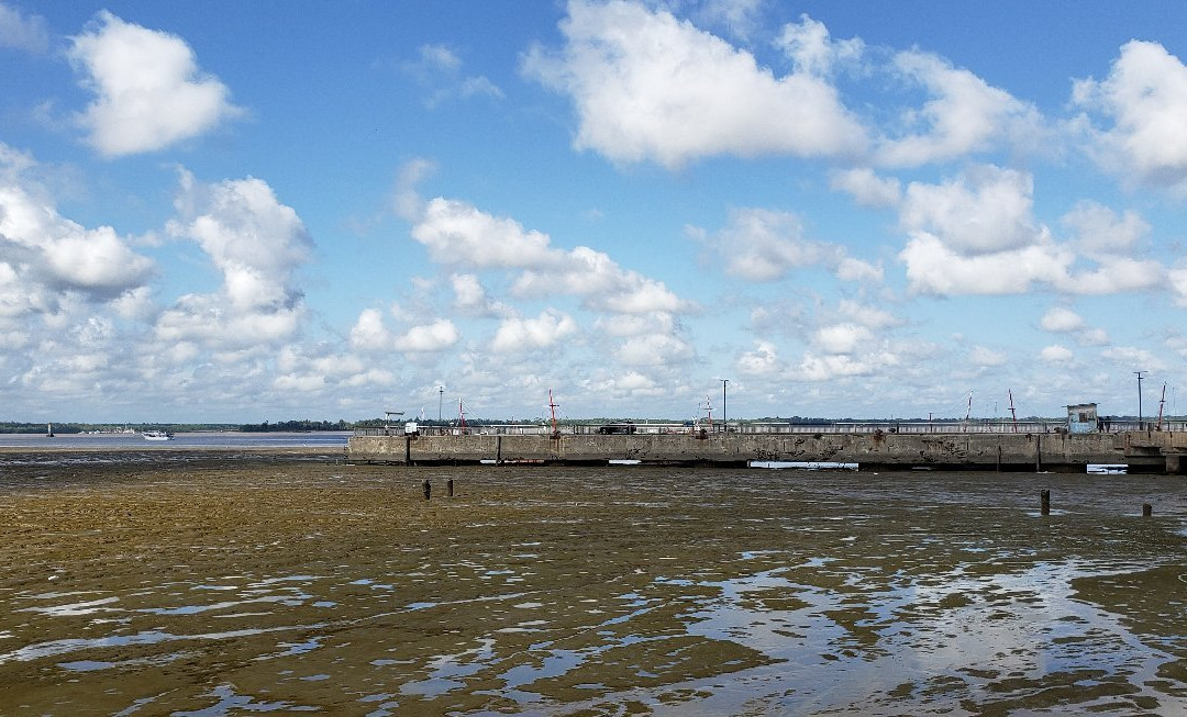 Vieux Port-卡宴必去景点