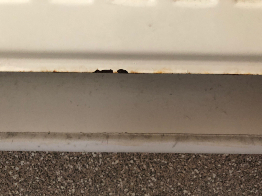 The Groves Hotel主图