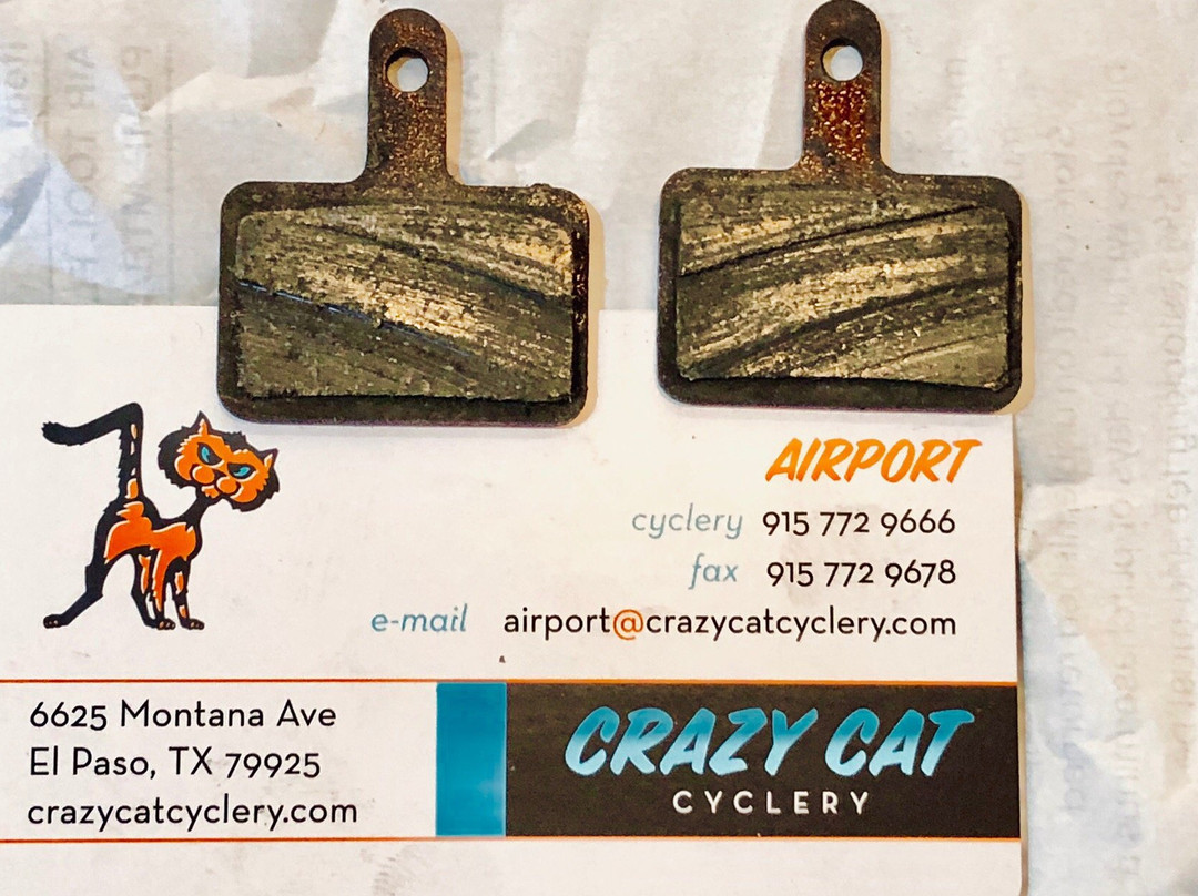 Crazy Cat Cyclery Rentals景点图片