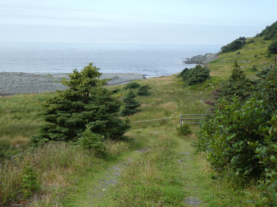 Gooseberry Cove Provincial Park景点图片