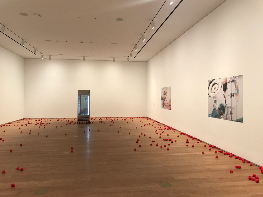 Remai Modern-萨斯卡通必去景点
