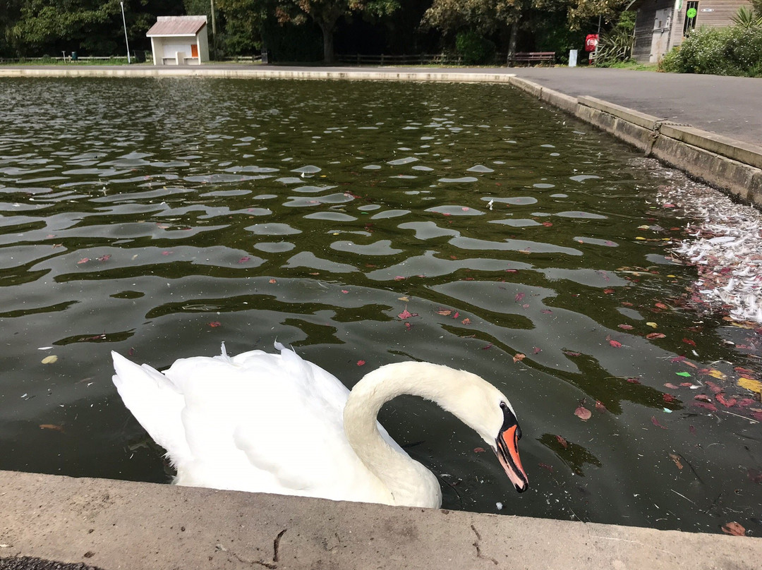 Coronation Park and Boating Lake-赫尔斯顿必去景点