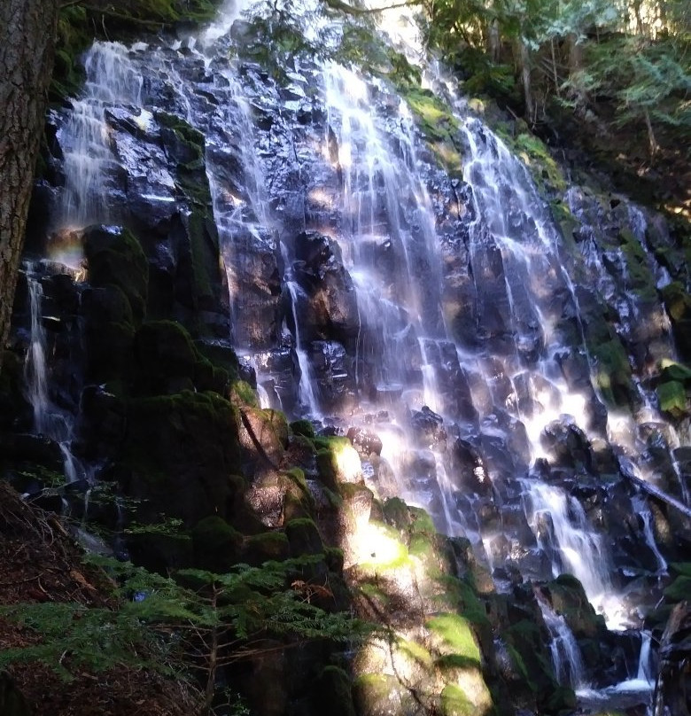 Ramona Falls Trail-Rhododendron必去景点