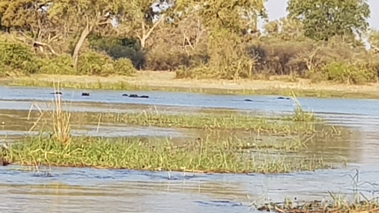 Saguni Safari Lodge-酒店景观