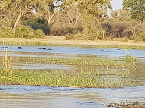 Saguni Safari Lodge主图