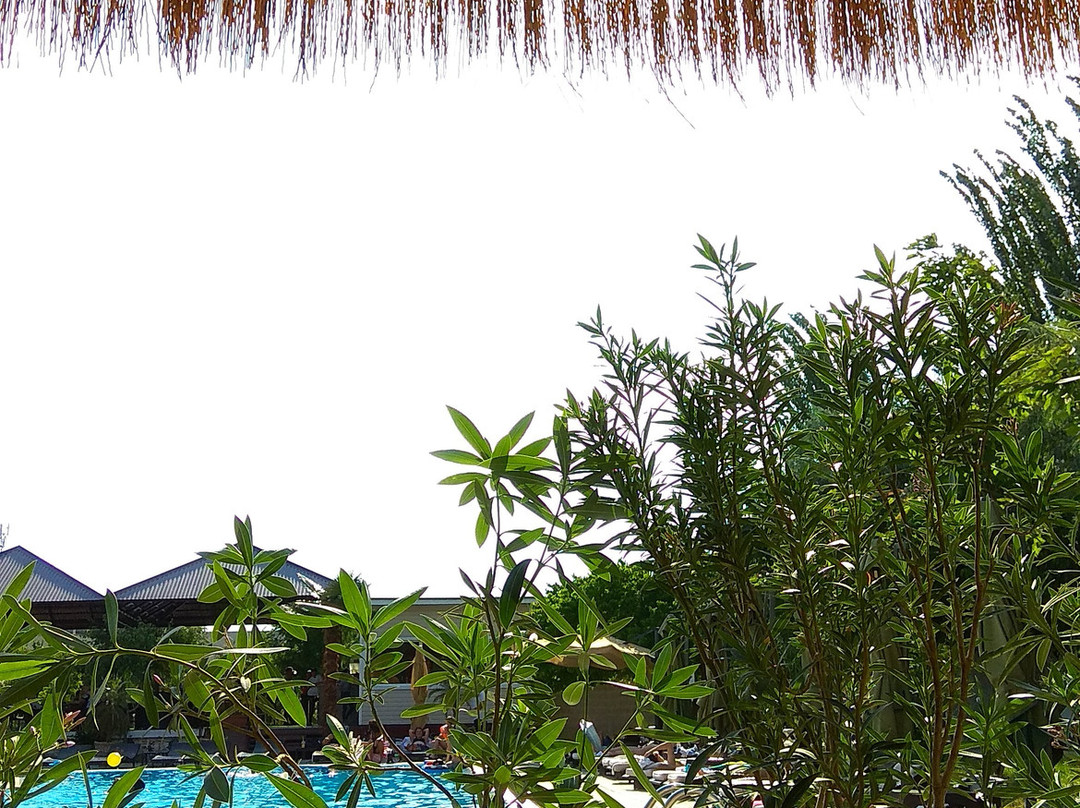 Cross Resort Hotel主图