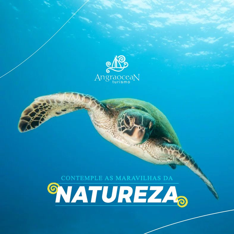 Angra Ocean Turismo景点图片