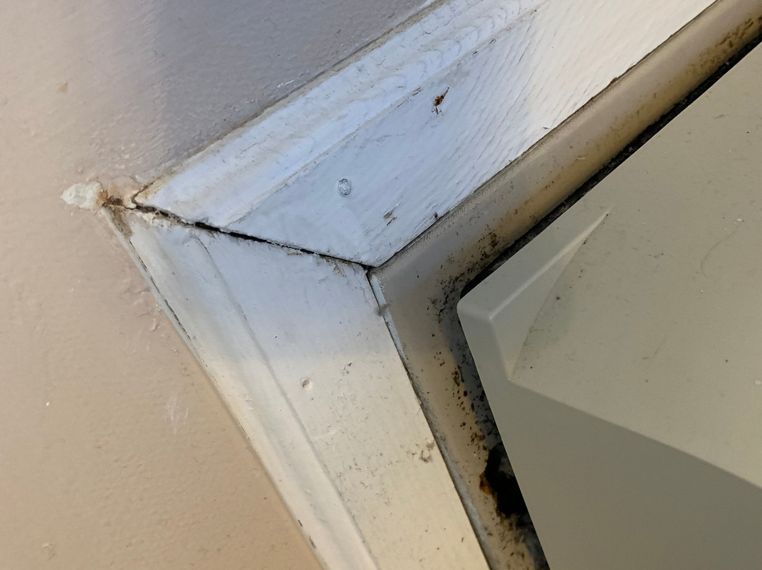 Jolly Roger Inn & Pier主图