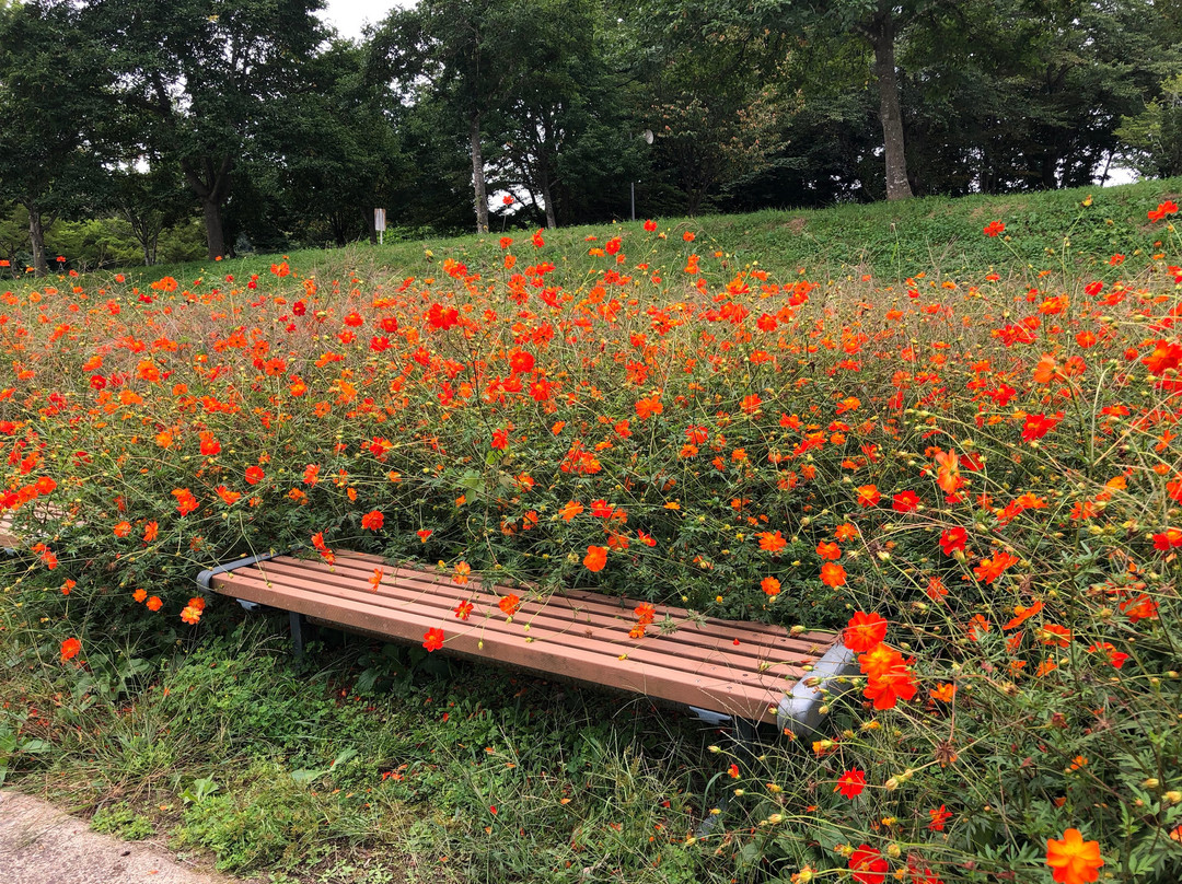 Lake Gosho Park Family Land-雫石町必去景点