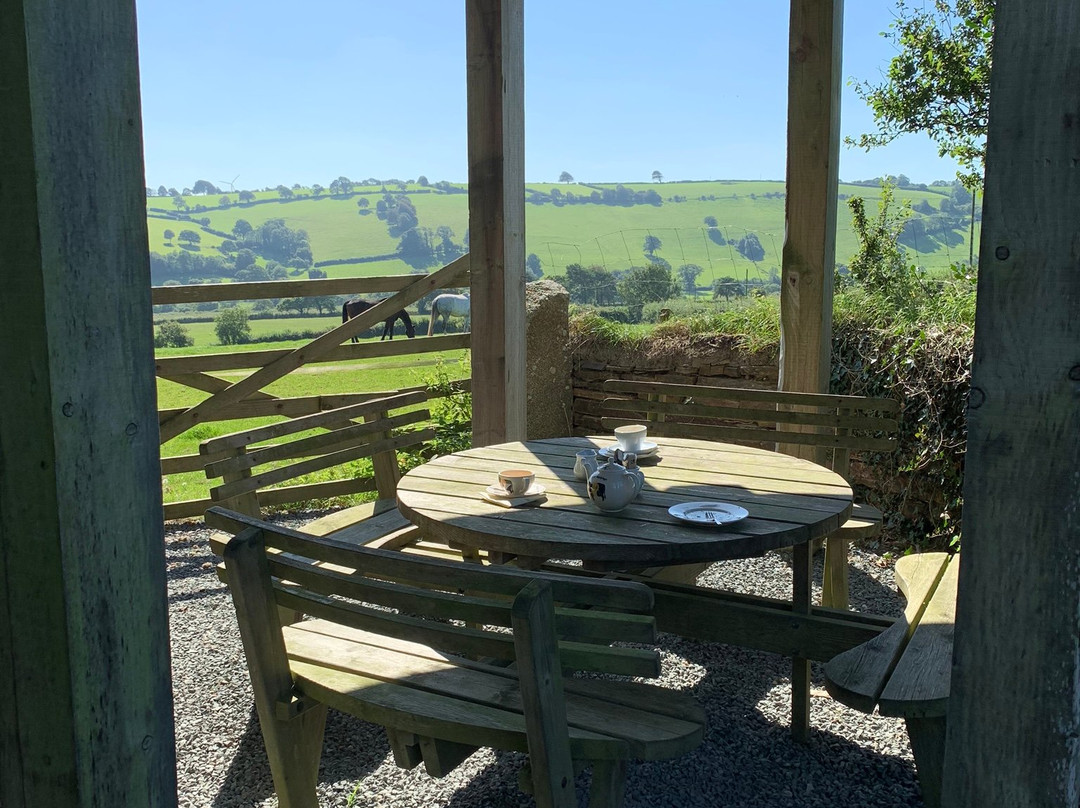 Cowslip Workshops-朗塞斯顿必去景点