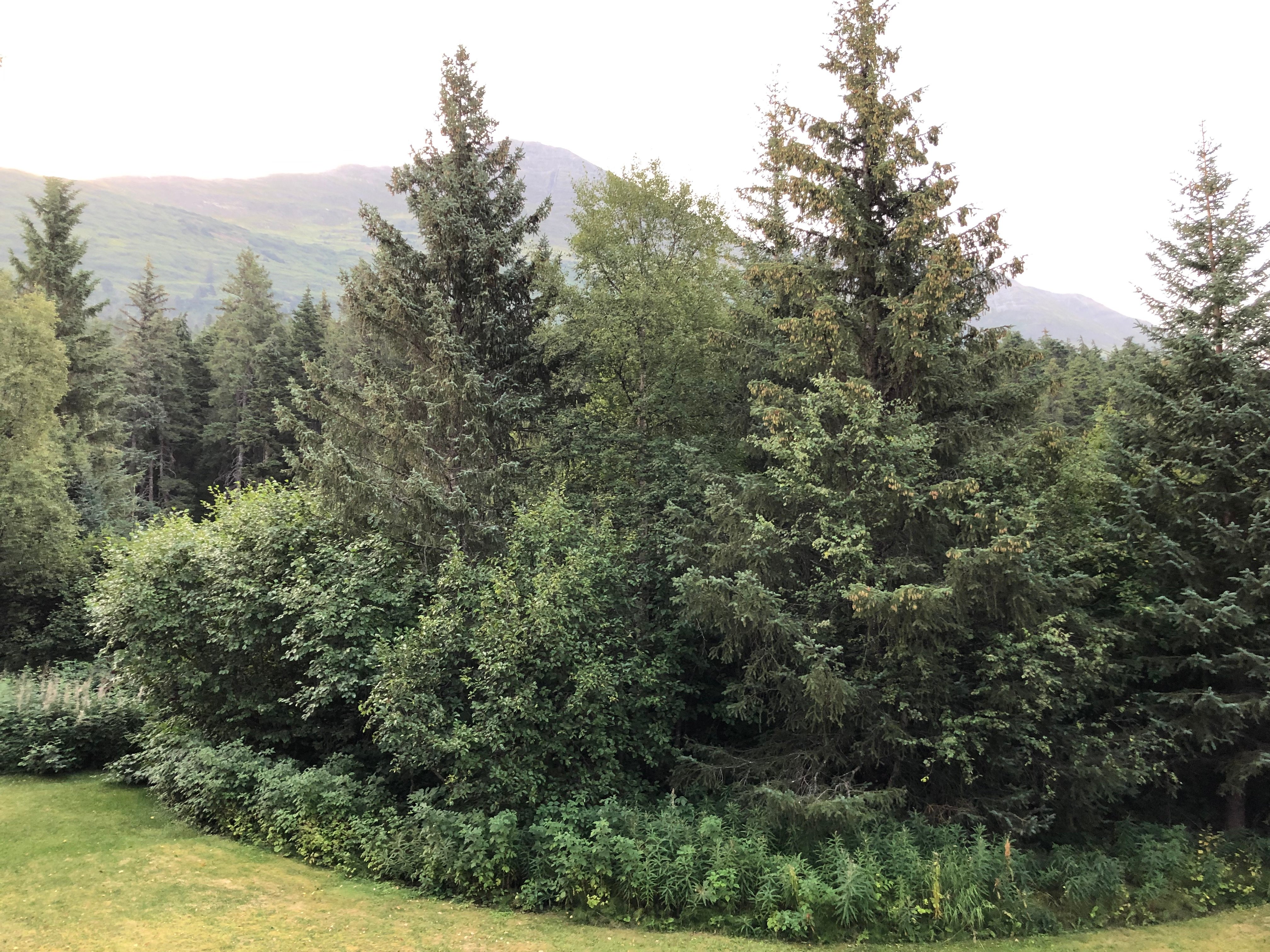 Teddy s Inn the Woods Bed and Breakfast-浴室