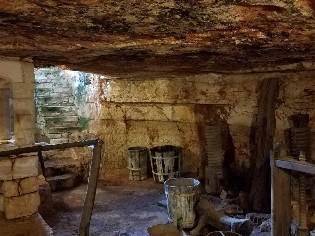 Masseria Brancati主图