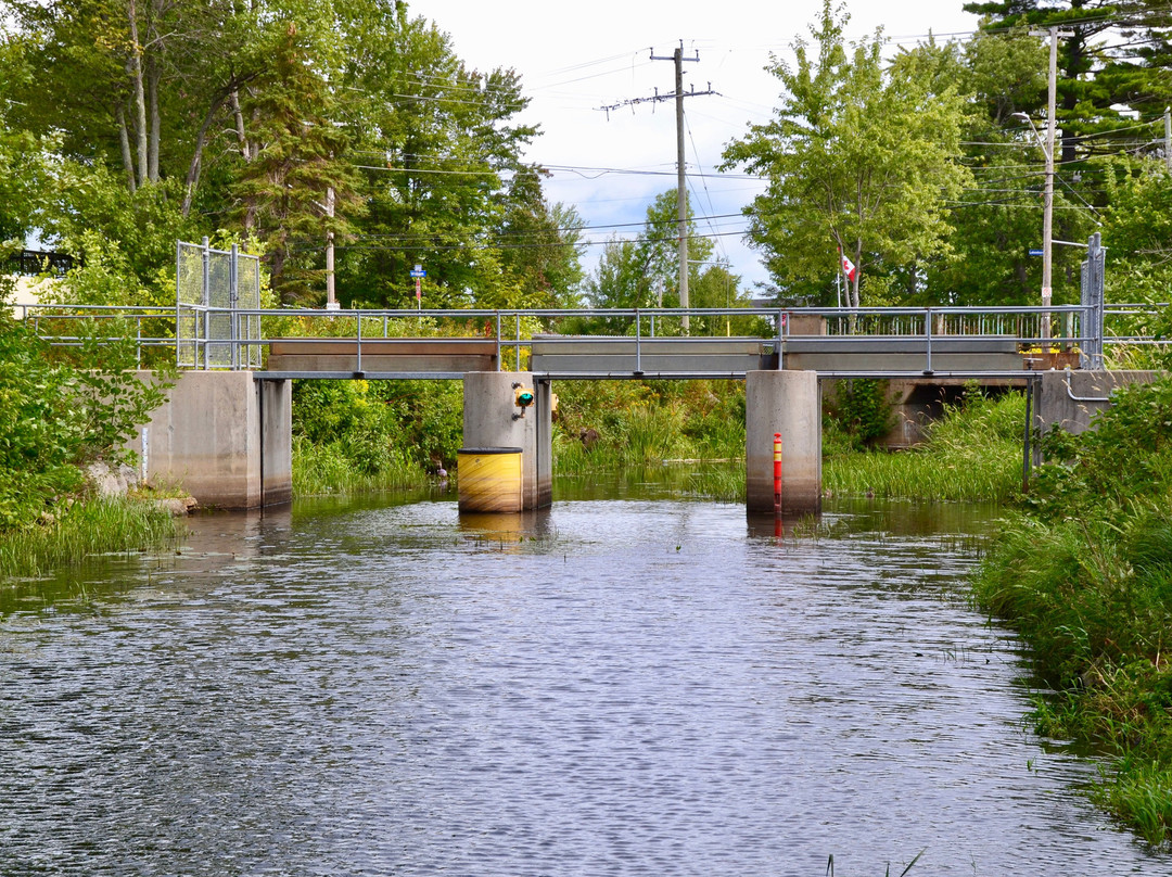 Eva Wardlaw Conservation Area-诺斯贝必去景点