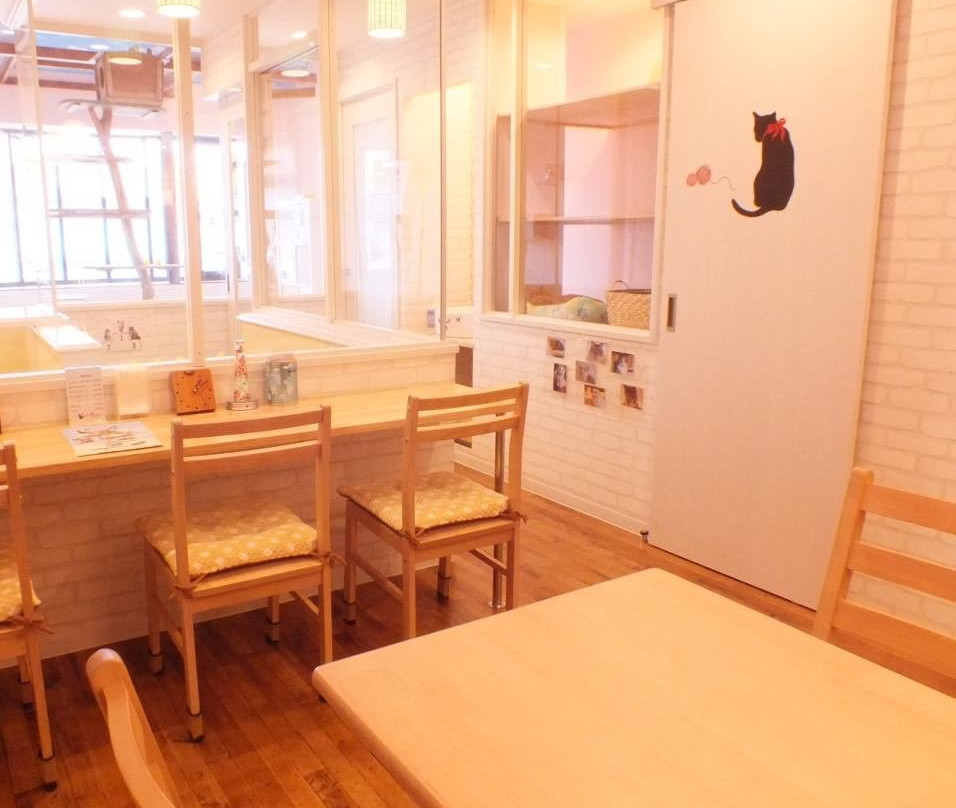 猫カフェ スマイルアゲイン