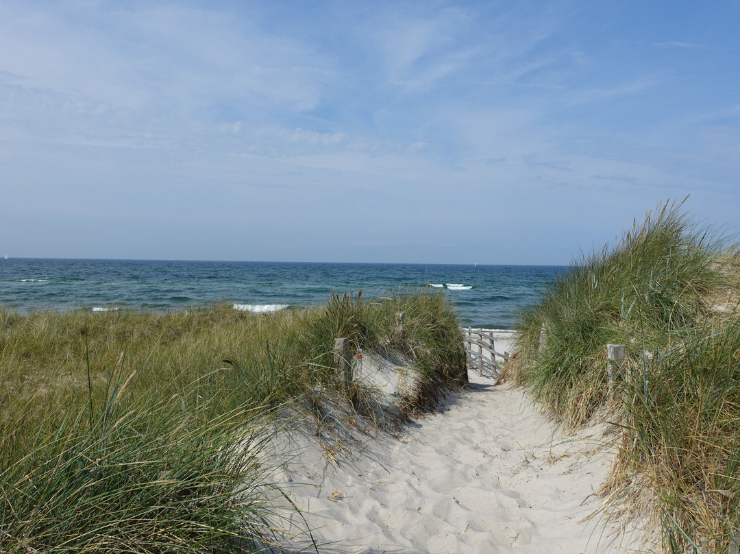 Western Pomerania Lagoon Area National Park景点图片