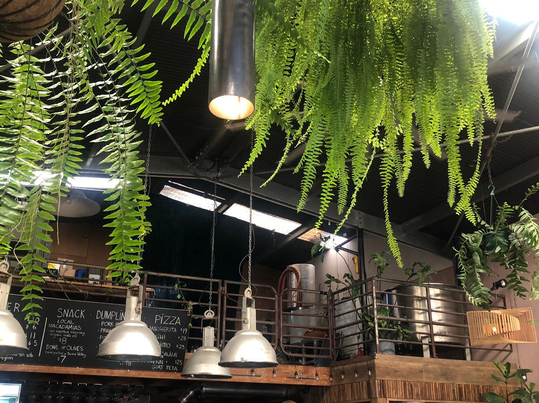The Bellingen Brewery景点图片