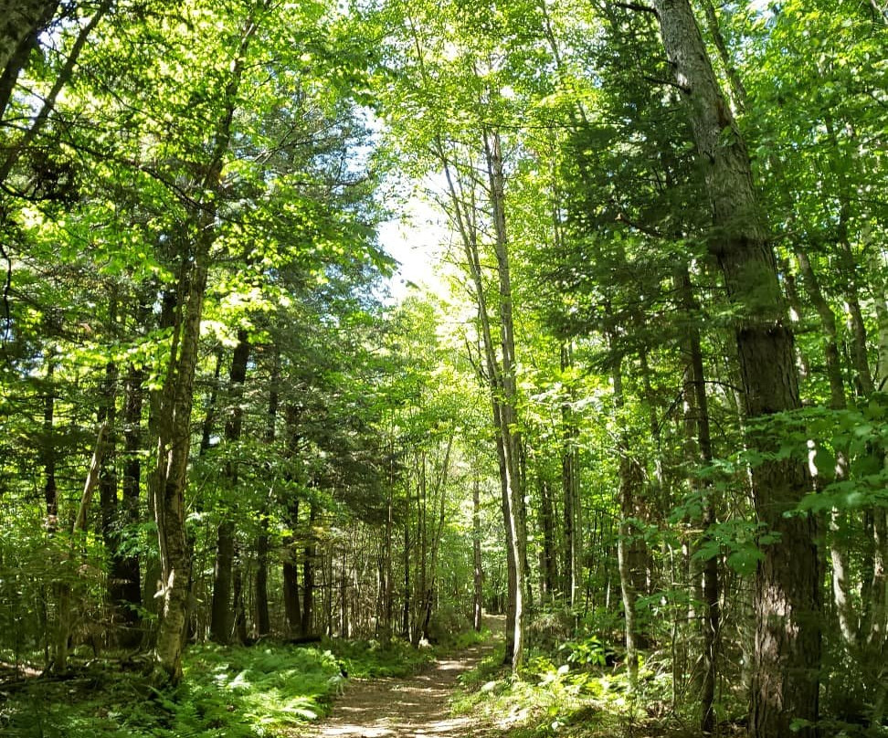 Ghost Lake Lodge主图