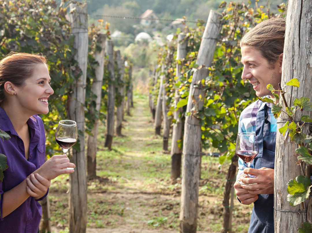 Mudgee Hopper-马奇必去景点