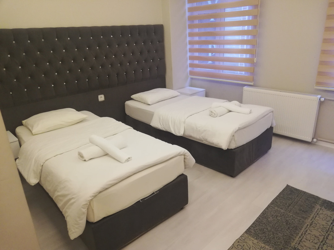 Batusay Vidinli Hotel & Süites主图