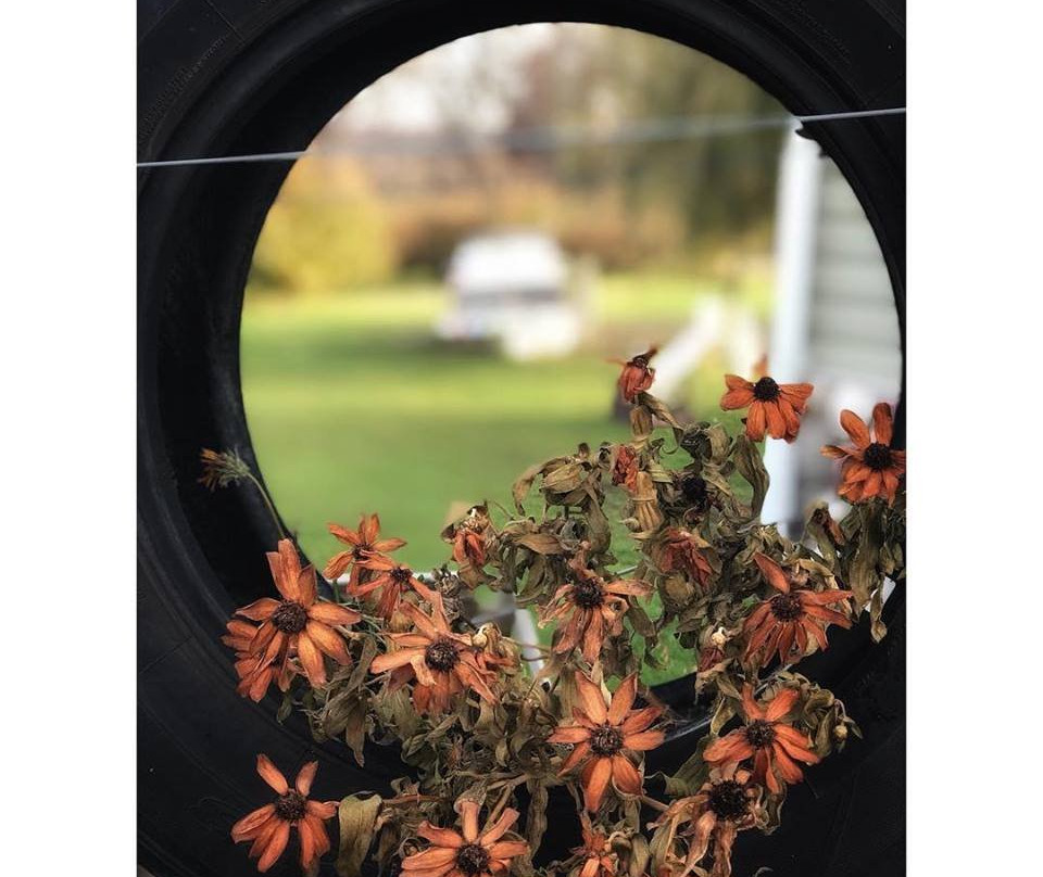 Lapacek’s Orchard-Poynette必去景点