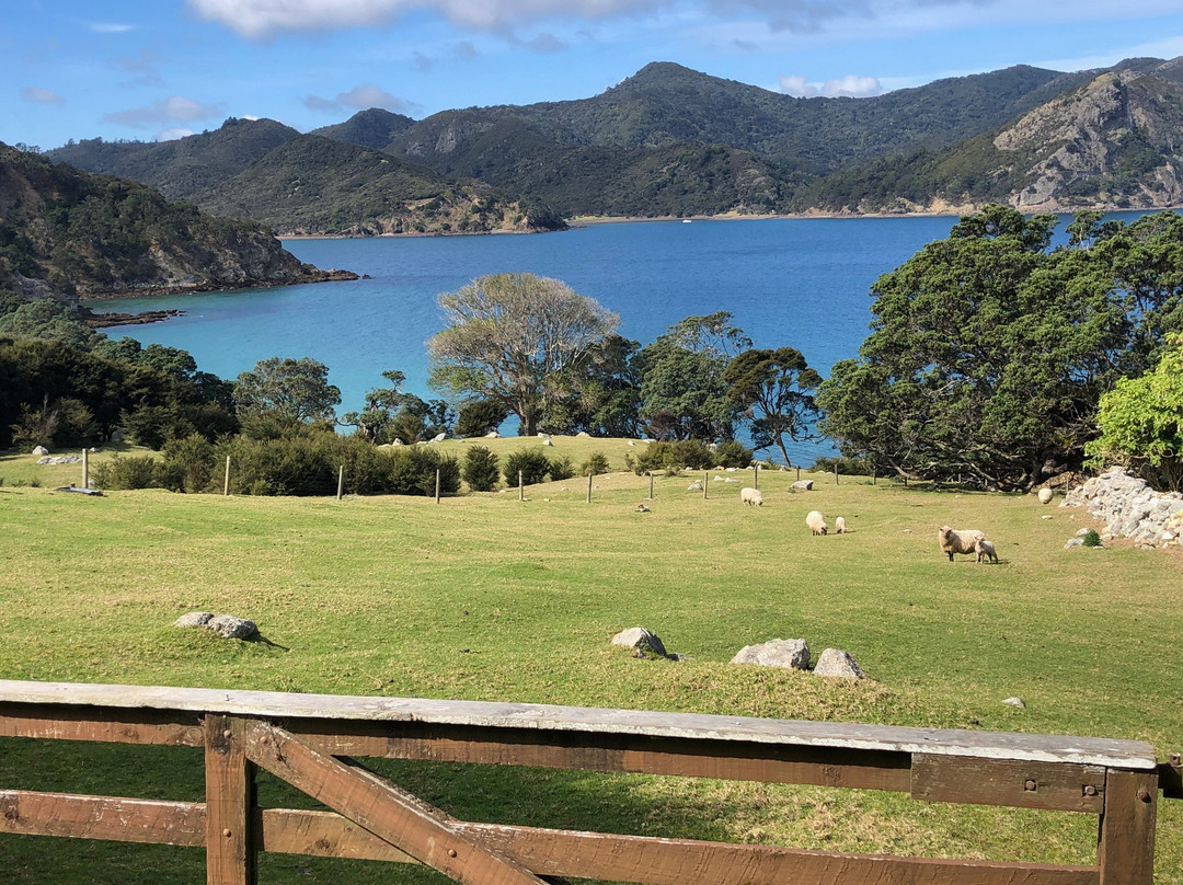 Medlands Beach Lodge主图