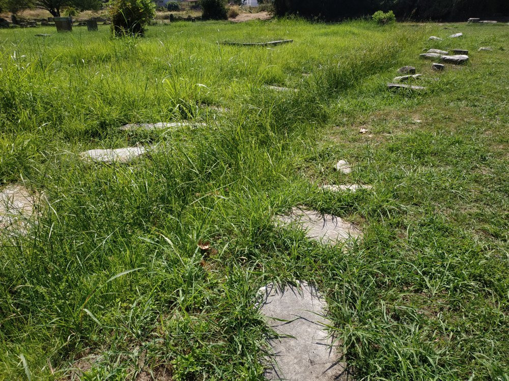 The Ancient Agora景点图片