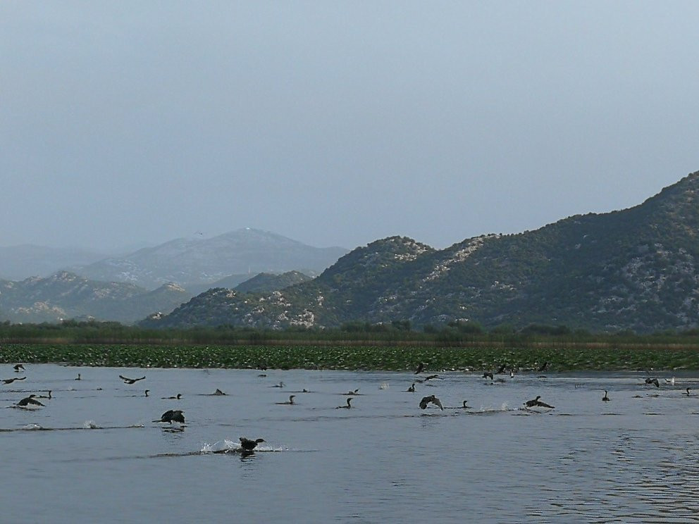 VIR TRAVEL-维尔巴札拉必去景点